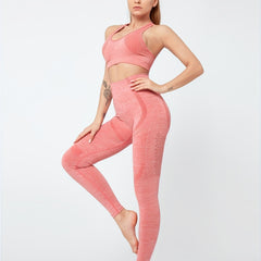 2pcs Yoga Suit Quick Drying Sports Tank Top Bra & High Waist Leggings