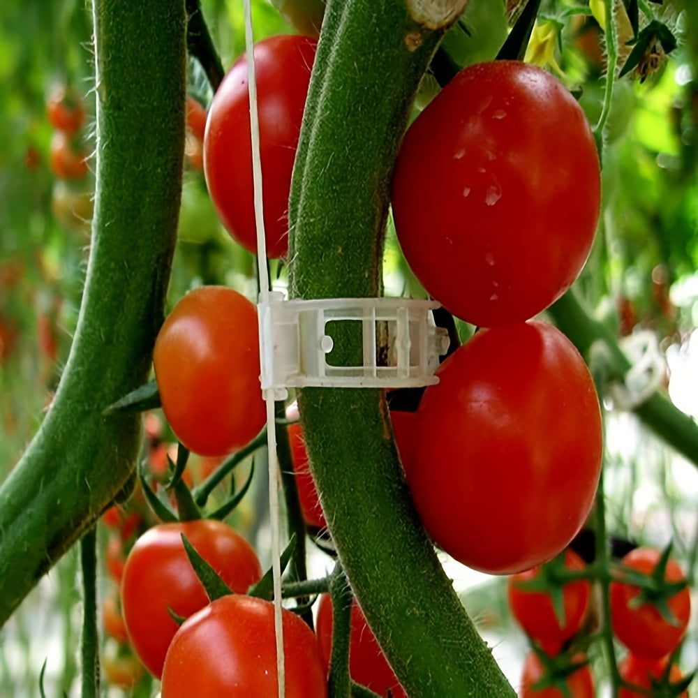 Plant Support Clips for Tomato Vine Vegetables Garden - 50/100/200pcs