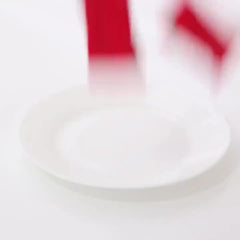 10pcs Disposable Compressed Towel Portable Soft Towel