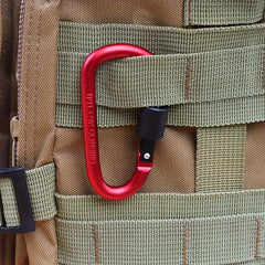 2pcs Carabiner Clip Lock Aluminum Alloy D Ring Key Chain Clip Ho