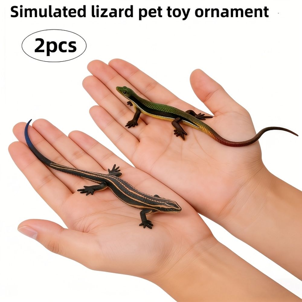 img_6354606