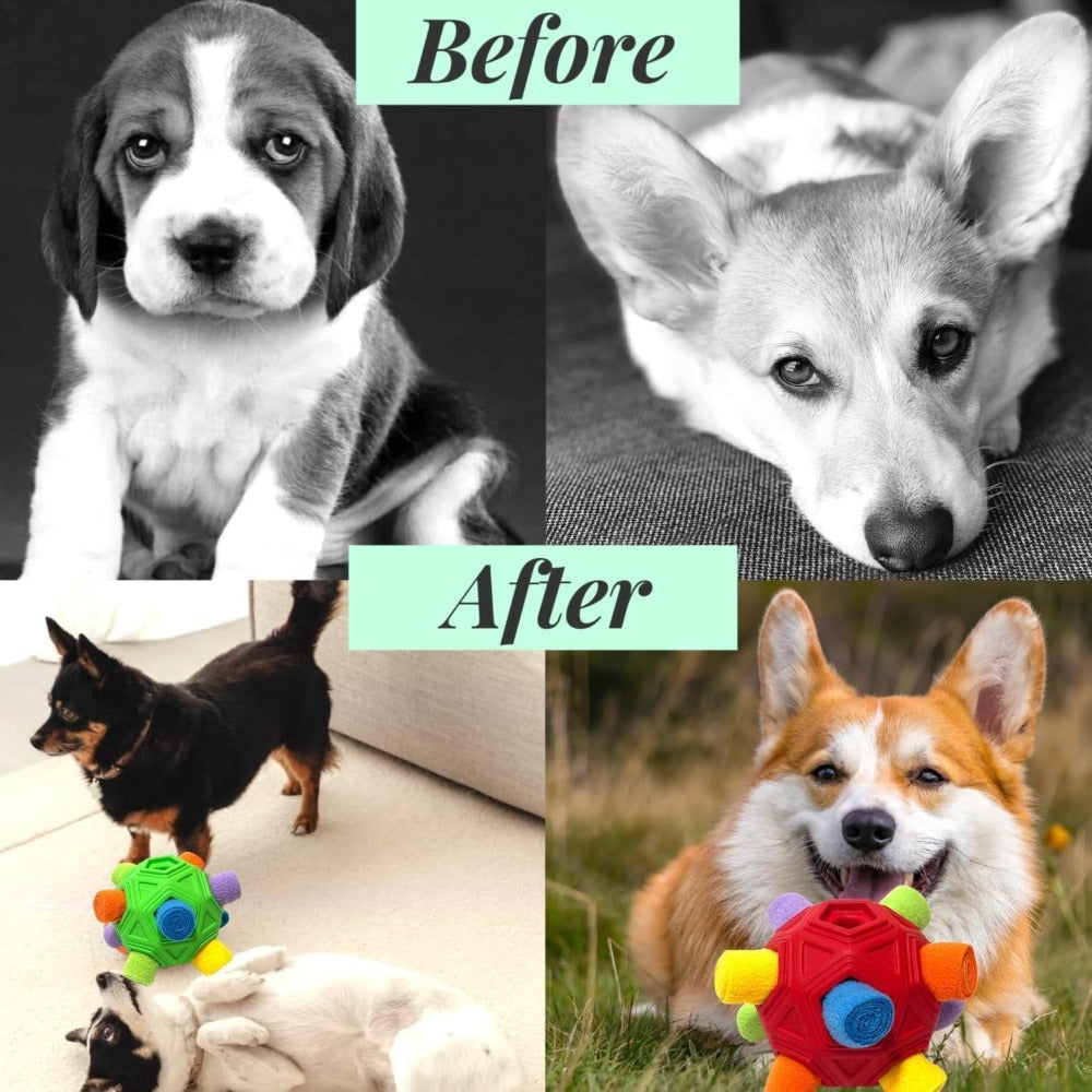 img_6354297