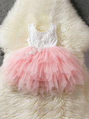 Girl's Lace Embroidered Princess Dress
