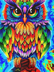 3D Owl Graphic Short Sleeve T shirt Girls Casual Summer Tops
