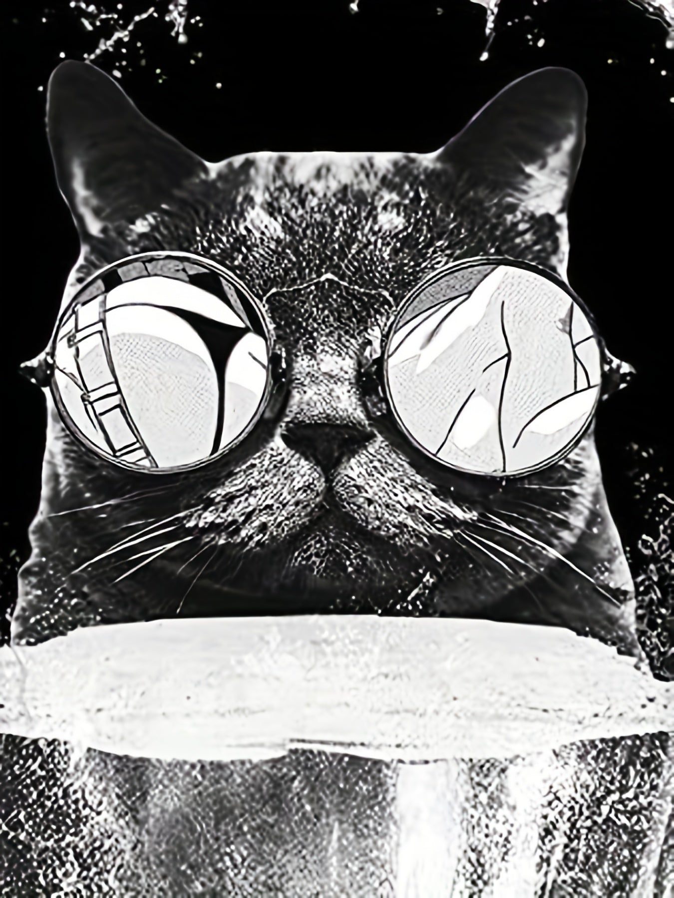 Vintage Cat Graphic T shirt for Men 3D Digital Print Crew Neck Tee