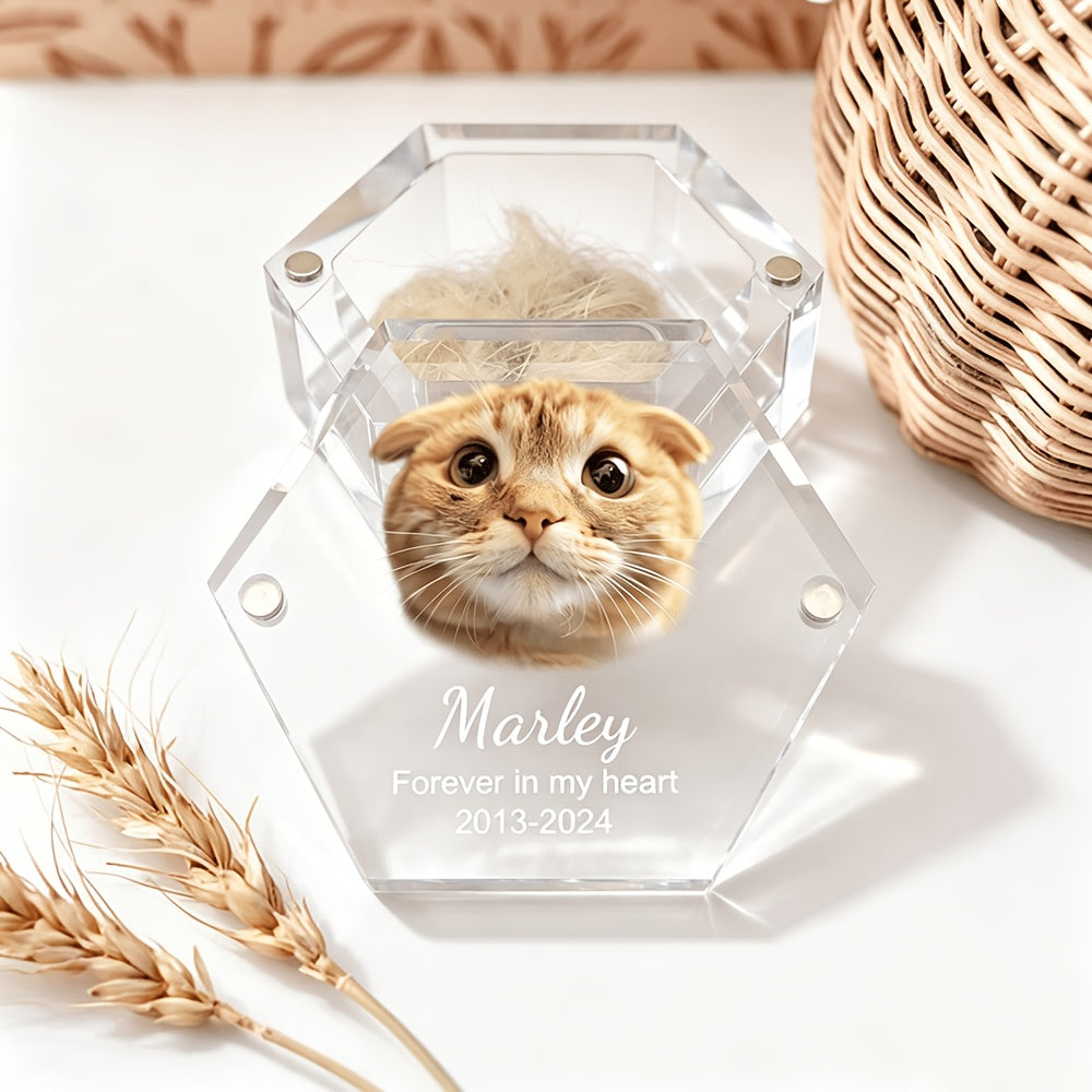 img_5183723