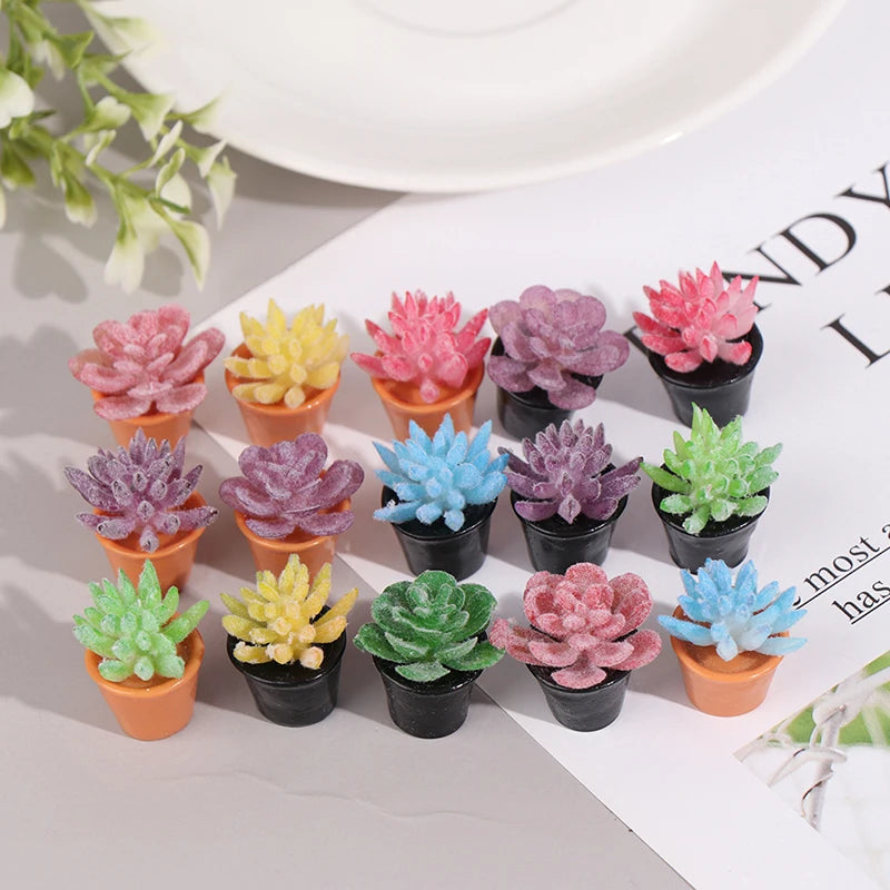 img_2992780