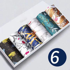 img_2626548