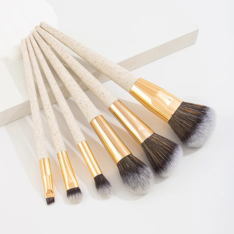 img_365021