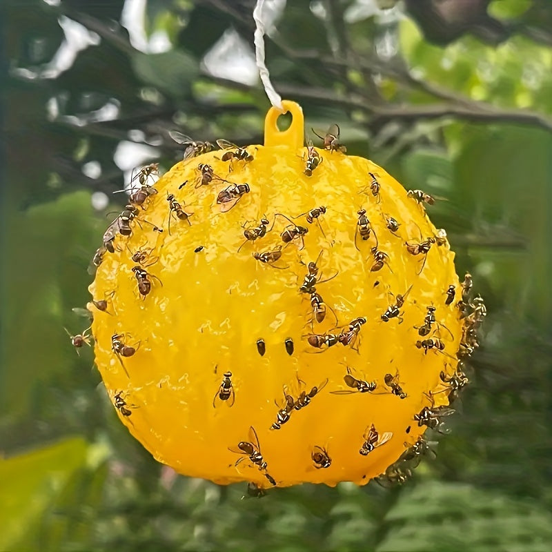 2pcs Sticky Bug Traps for Fruit Flies Mosquitoes