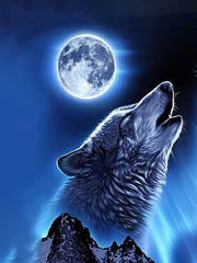Fashionable Wolf 3D Print Boys Sweatshirt Hoodie For Spring Fall