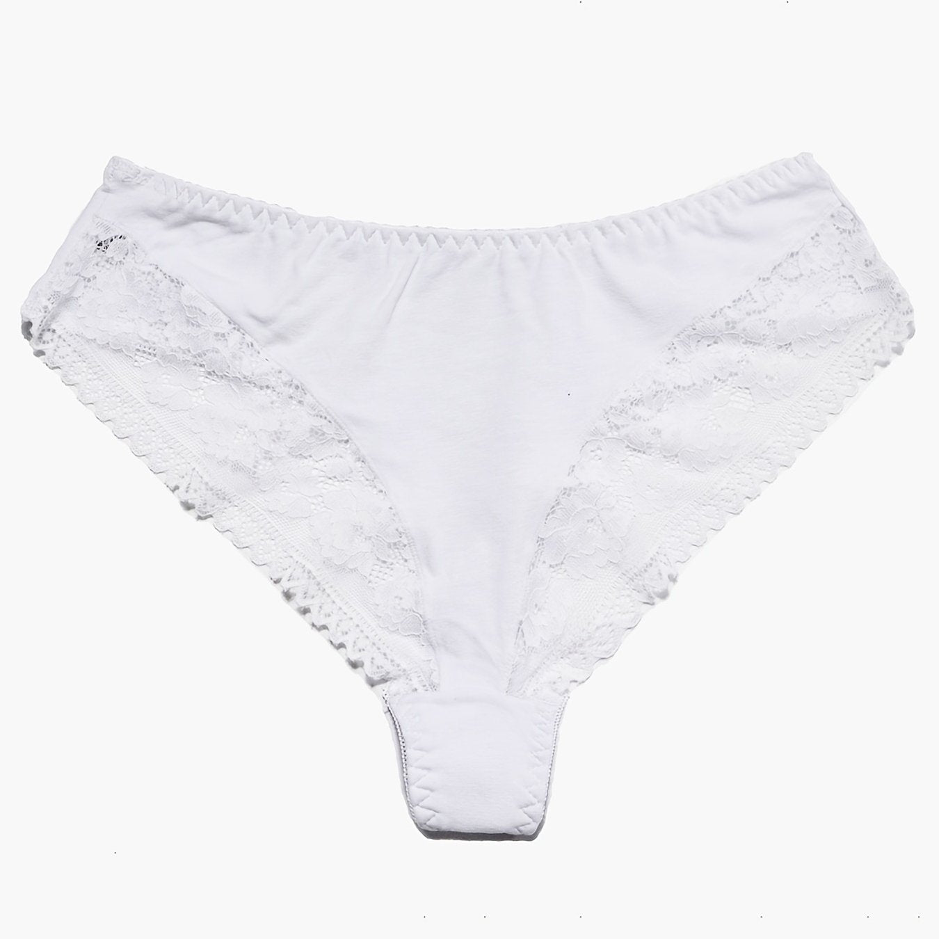 Floral Jacquard Lace Trim Panties Plus Size