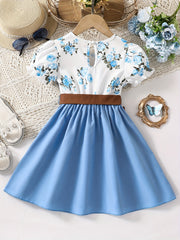 Toddler Girls Flowers Graphic Princess Dress for Party Beach Vacation