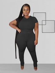 Solid Crop Top & High Waist Pant Set Women's Plus Casual Co ords