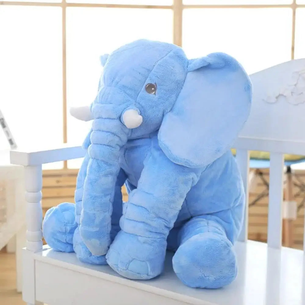 img_2921141