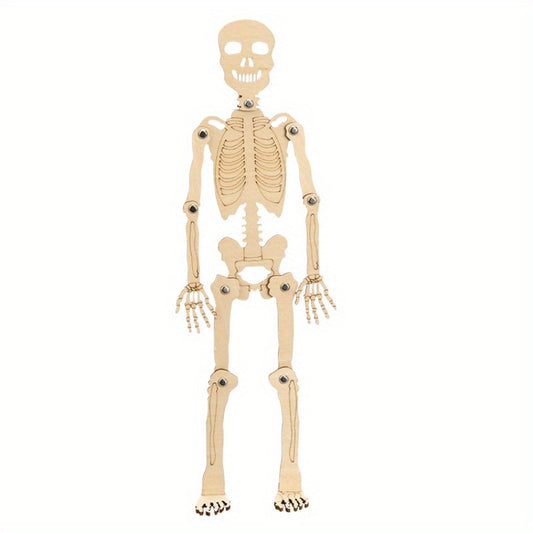 DIY Human Skeleton Assembly Puzzle Kit for Small Production
