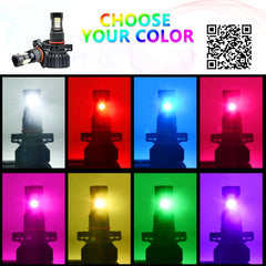 img_65343