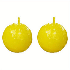 2pcs Sticky Bug Traps for Fruit Flies Mosquitoes
