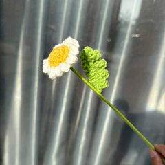 Small Daisy Hand-Woven Bouquet Chamomile Woolen Crochet Flower