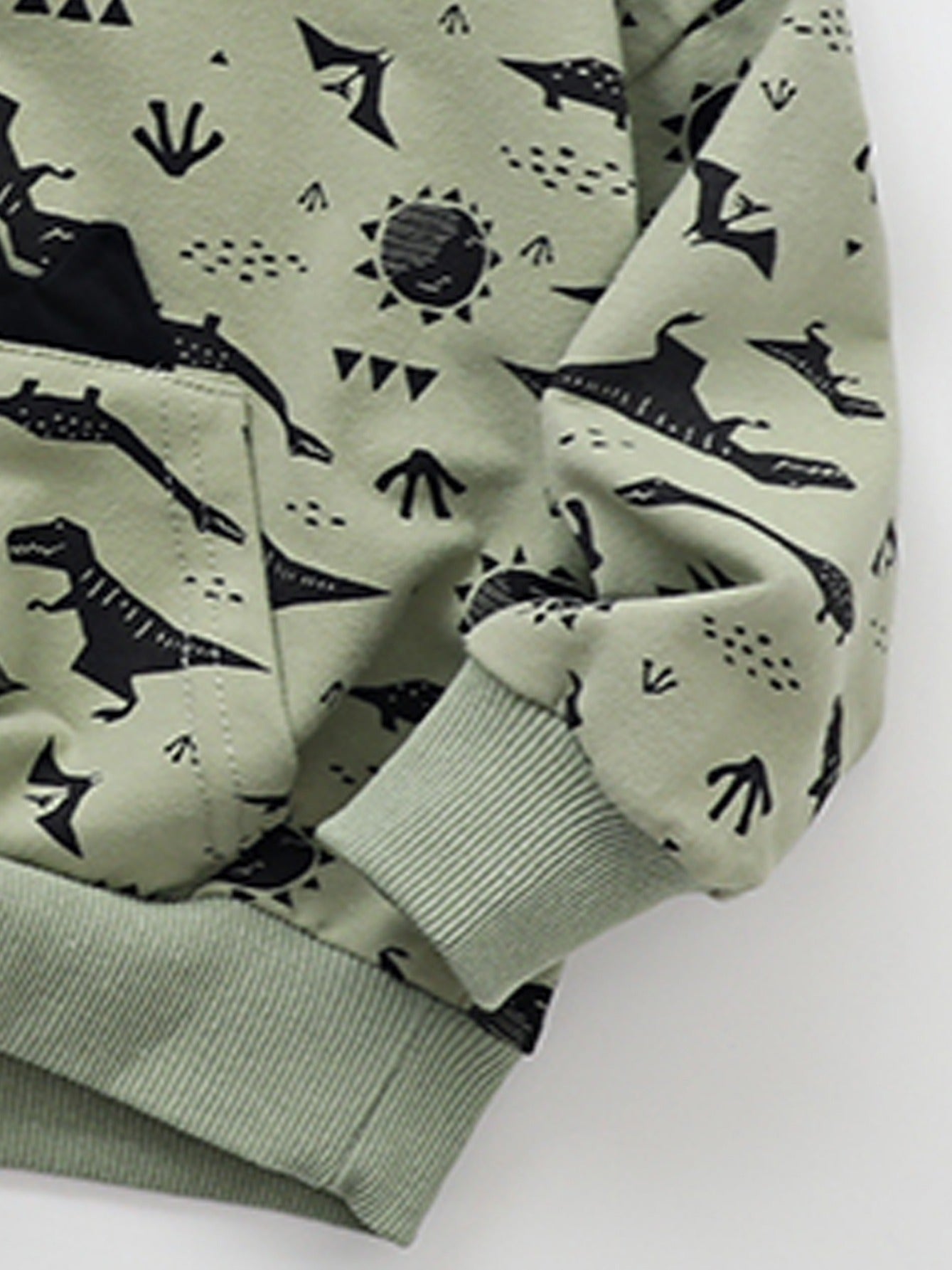 Boys Dinosaur Print Crewneck Hoodie Sweatshirt