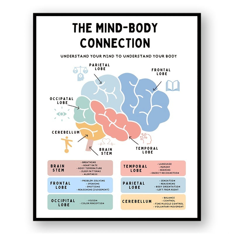 Brain Anatomy Poster Stress Management Emdr Cbt Fight Flight