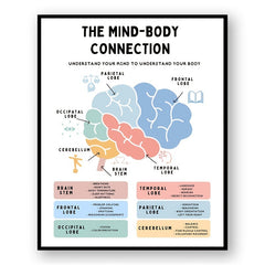 Brain Anatomy Poster Stress Management Emdr Cbt Fight Flight