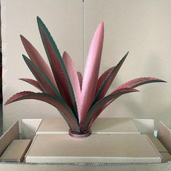 Iron Dragon Tongue Orchid Flower Plant Outdoor Garden Decoration