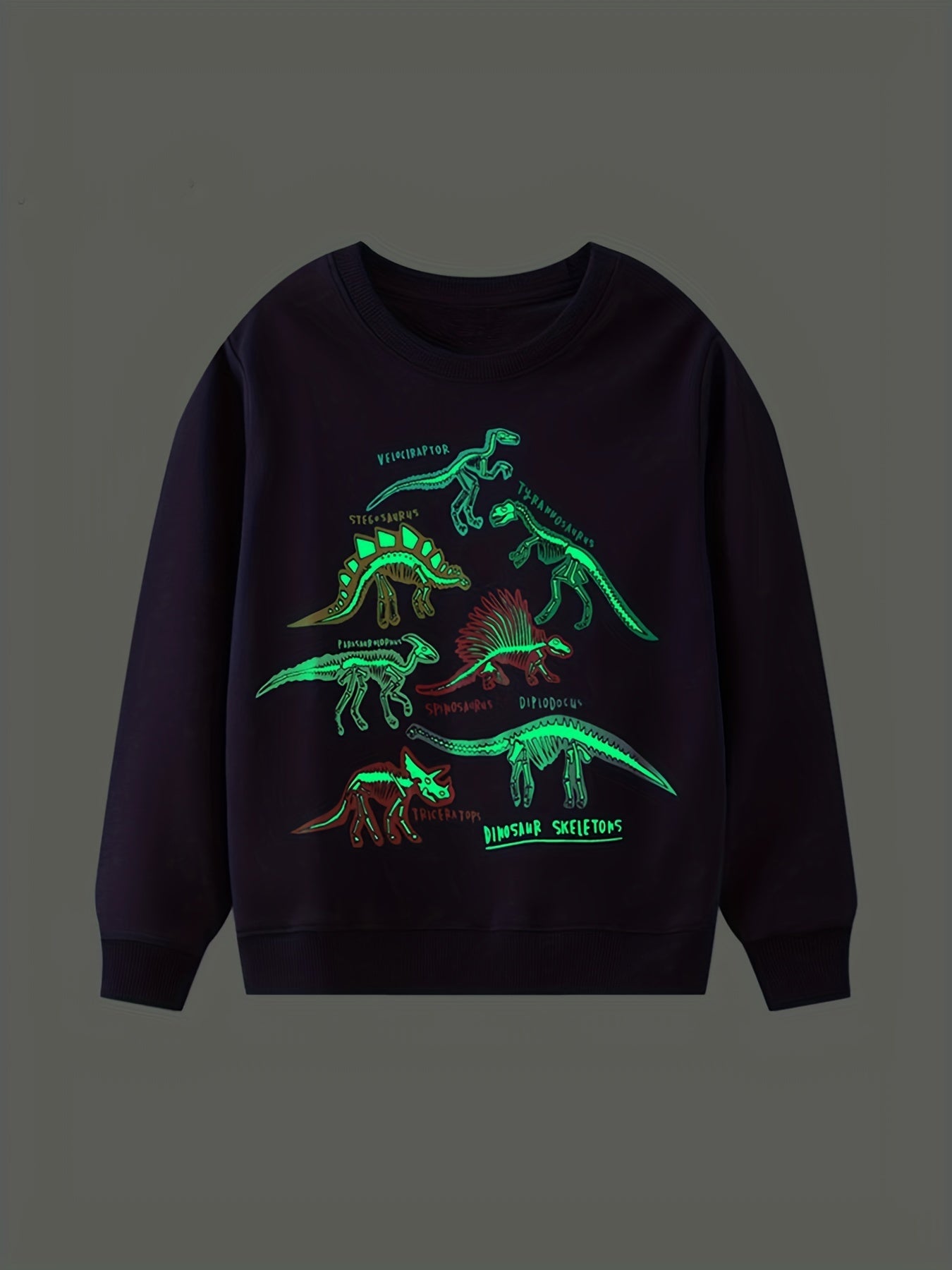 Luminous Dinosaur Print Boys Sweatshirt Crew Neck Tops