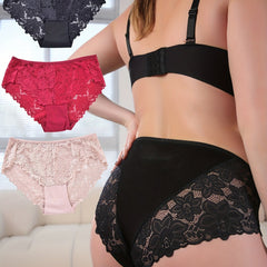 Lace High Stretch Panties 3 Piece Set