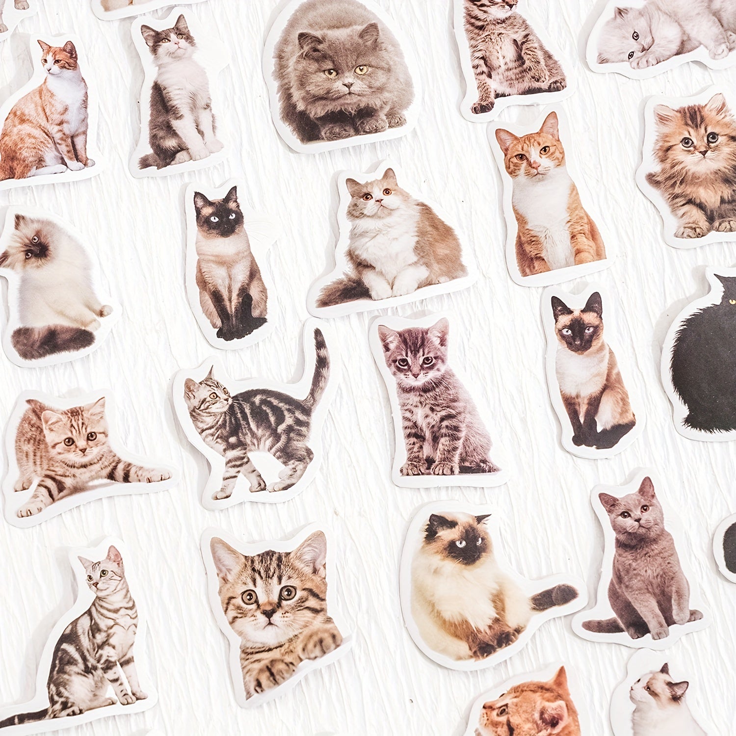 45pcs Cat Selfie Decorative Stickers for Diary Journal Planner Scrapbooking
