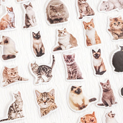 45pcs Cat Selfie Decorative Stickers for Diary Journal Planner Scrapbooking