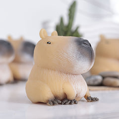 Capybara Soft Pinch Ball Sensory Toy for Kids & Adults