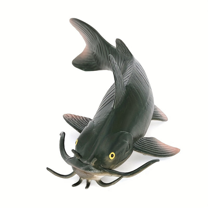 Animal Models Freshwater Fish Catfish Bearded