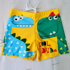 Boys Dinosaur DUDE Print Swim Trunks Stretchy Beach Shorts