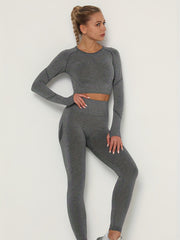 2pcs Seamless Yoga Sets Long Sleeve Top & Leggings Women's Activewear