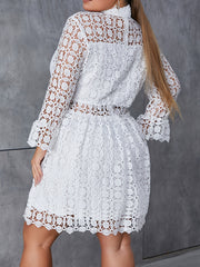 Lace Long Sleeve High Neck Dress