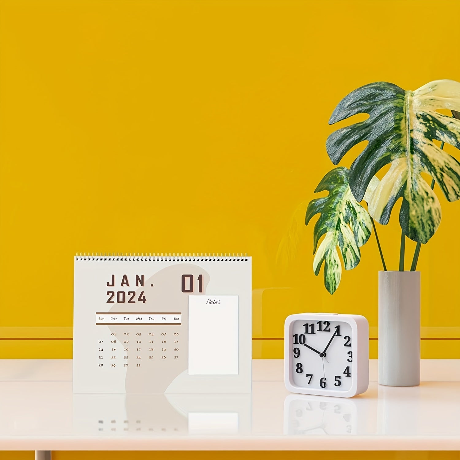 Funny Cat Ball Calendar - 12 Months Cat Butt and Fart Eye Calendar