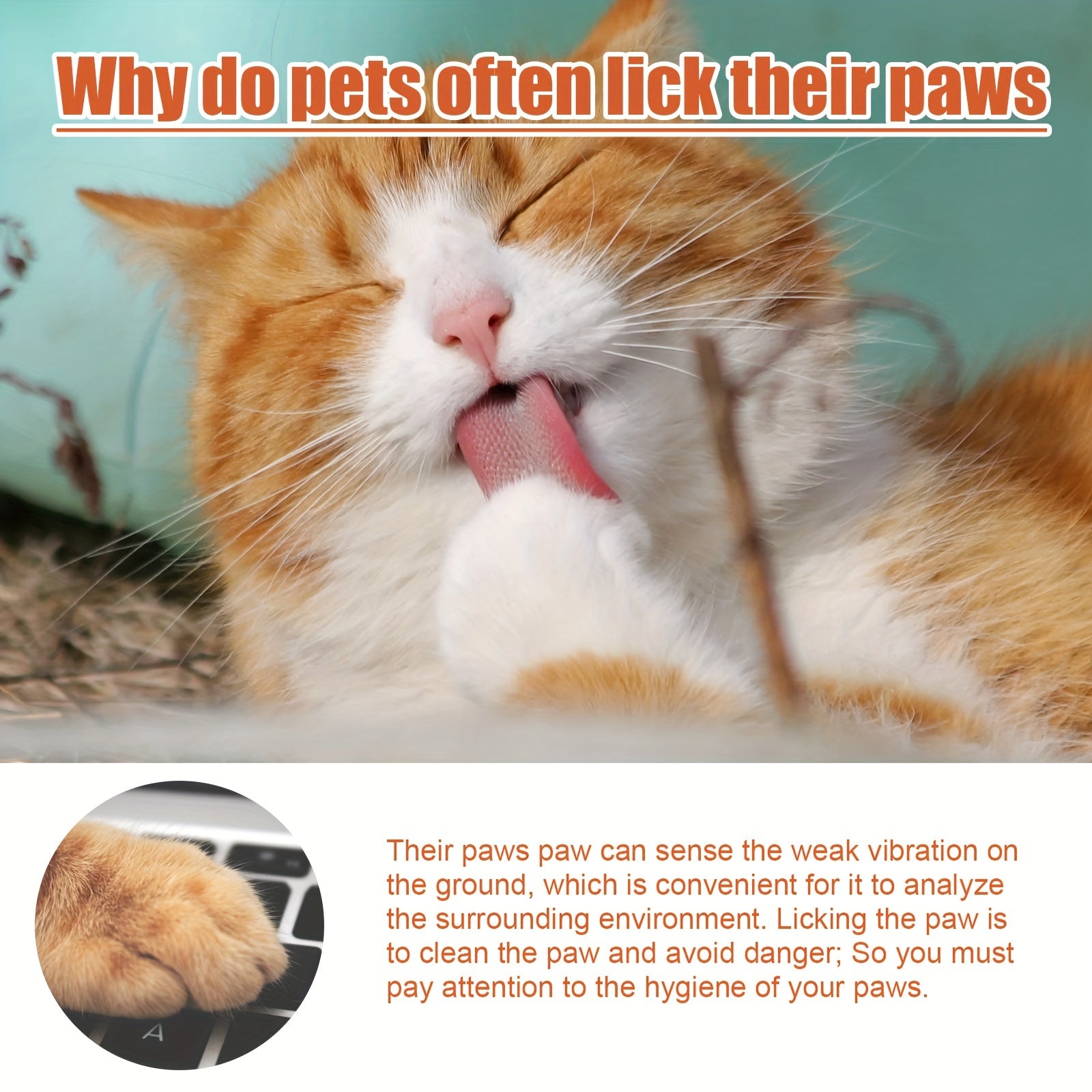 Pet Paw Cream Foot Care Protection for Cat Dog Paws Moisturizing Supplies