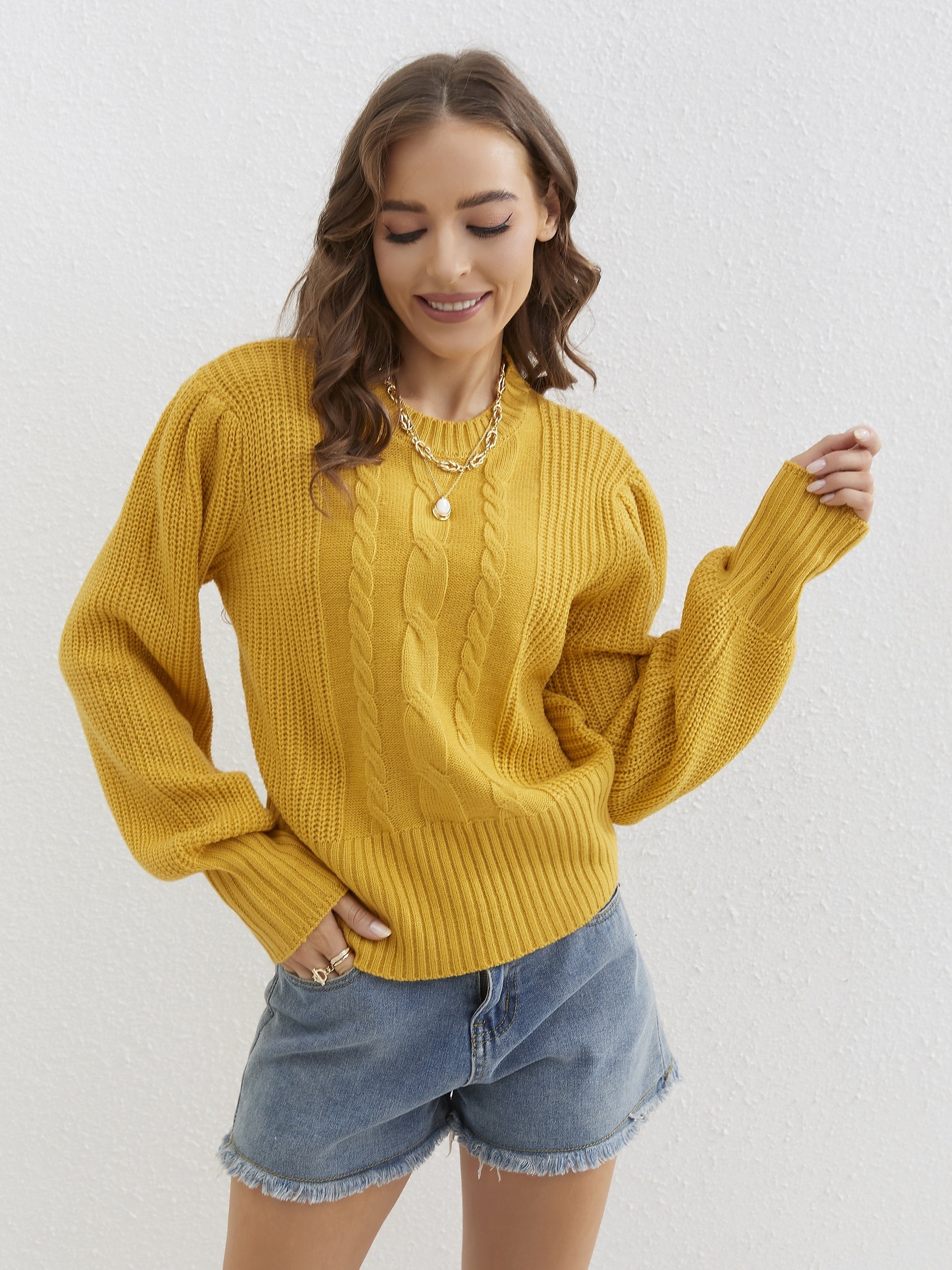 Twist Patten Crew Neck Pullover Sweater Womens Fall Winter Casual Lantern Sleeve