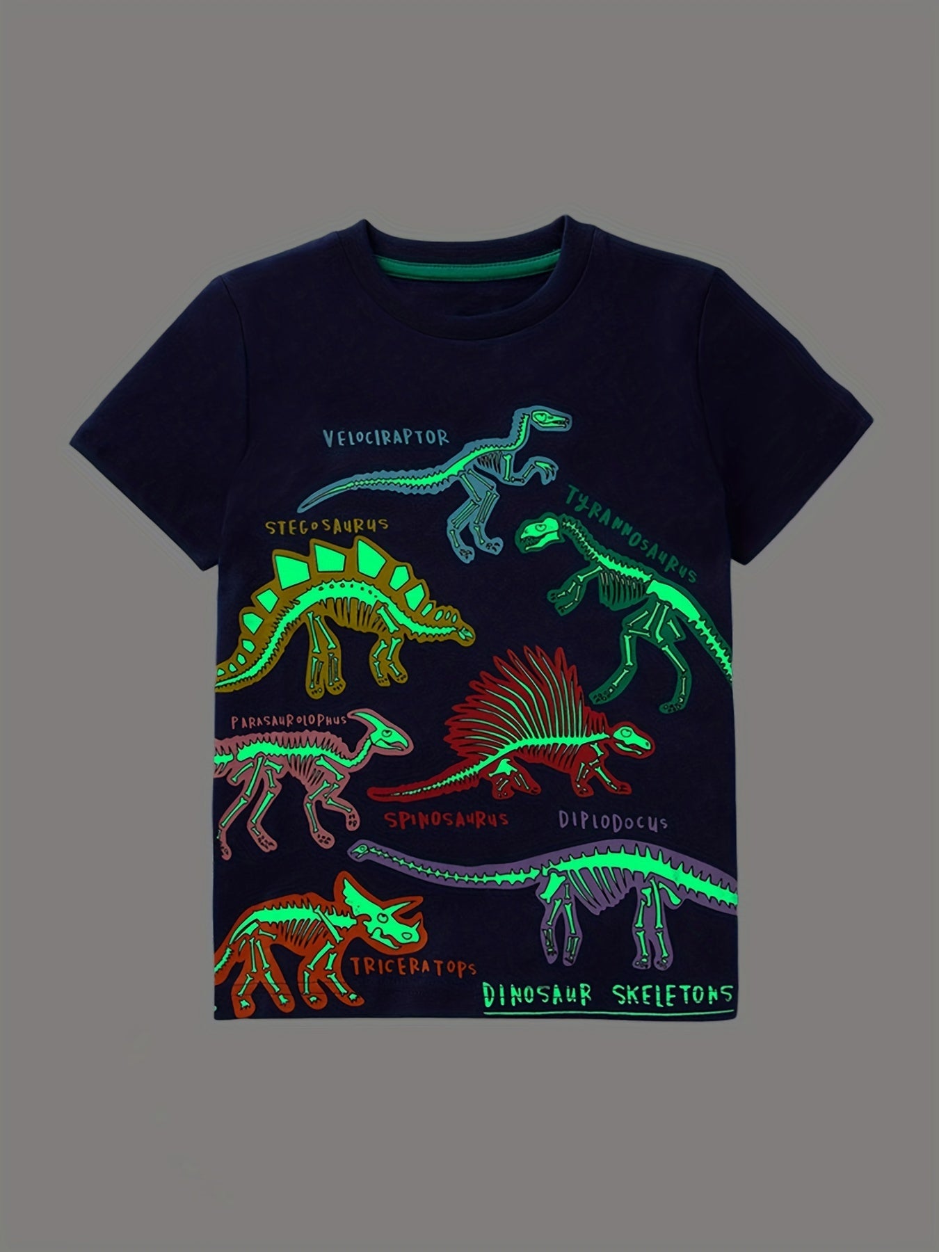 Boys Dinosaur Print Casual Outfit T shirt & Shorts Summer Clothes Set