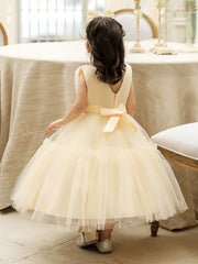 Girls Sleeveless Puffy Princess Dress with Tiara