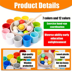 Rainbow Ball Matching Toy Set for Fine Motor Skills