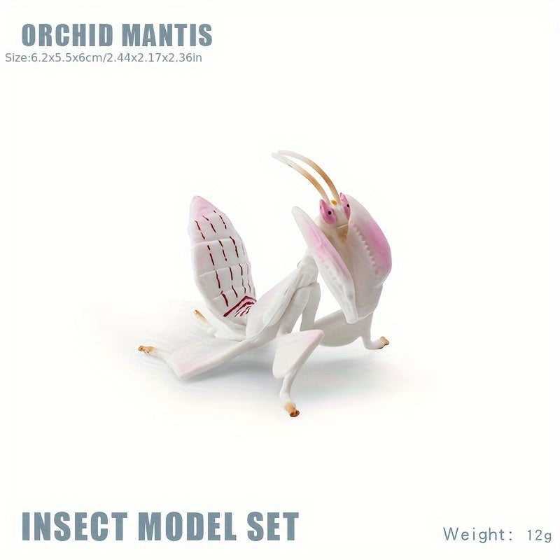 Insect Animal Models Educational Toys