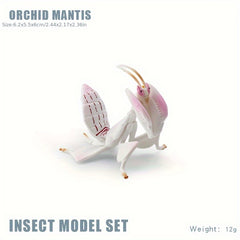 Insect Animal Models Educational Toys