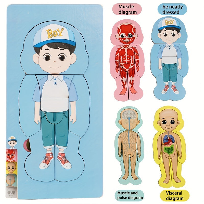 Wooden Anatomy Learning Puzzle Educational Toy for Boys & Girls