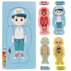 Wooden Anatomy Learning Puzzle Educational Toy for Boys & Girls