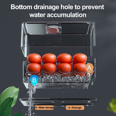 Transparent Drawer Refrigerator Storage Box for Fresh Food, Freezer Safe