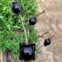 Plant Rooting Tools Garden Gardening High Pressure Propagation Boxes