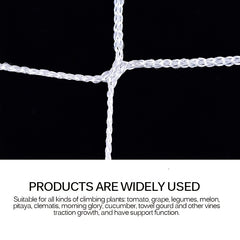 Polyester Pergola Net for Climbing Plants