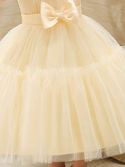 Girls Sleeveless Puffy Princess Dress with Tiara